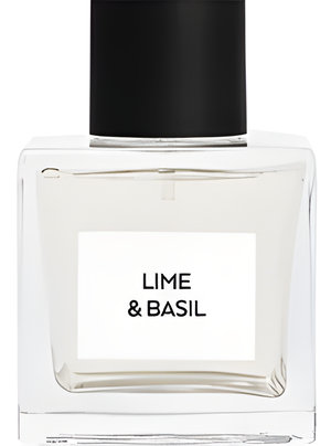 Lime & Basil by The Perfume Shop perfume bottle
