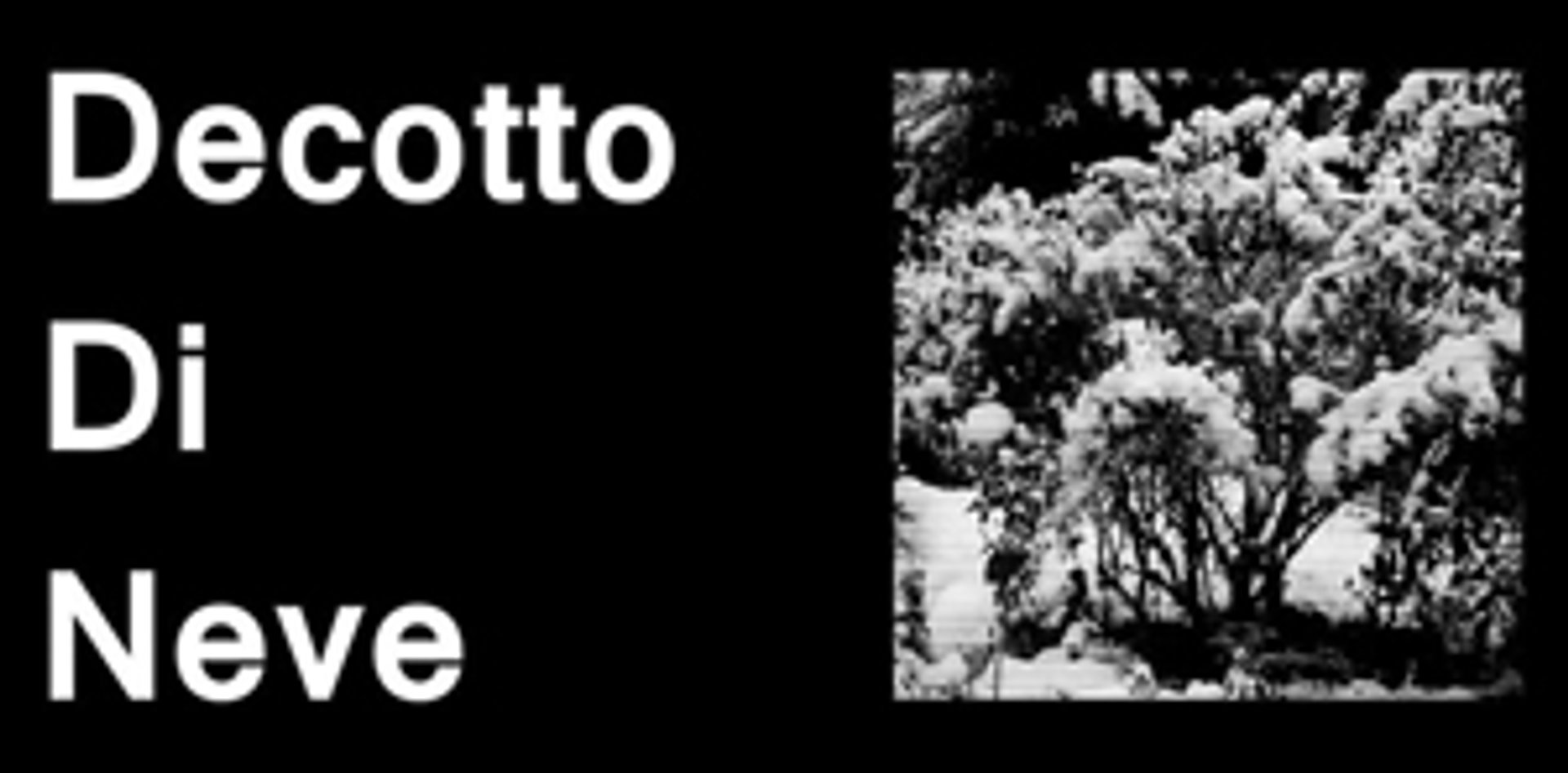 Picture of Decotto Di Neve brand