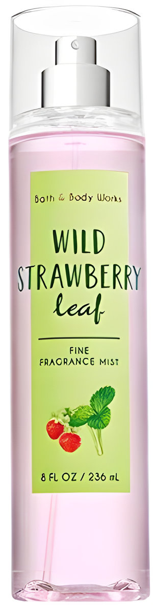 Wild Strawberry Leaf by Bath & Body Works perfume bottle