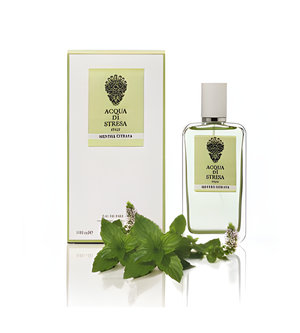 Mentha Citrata by Acqua di Stresa perfume bottle