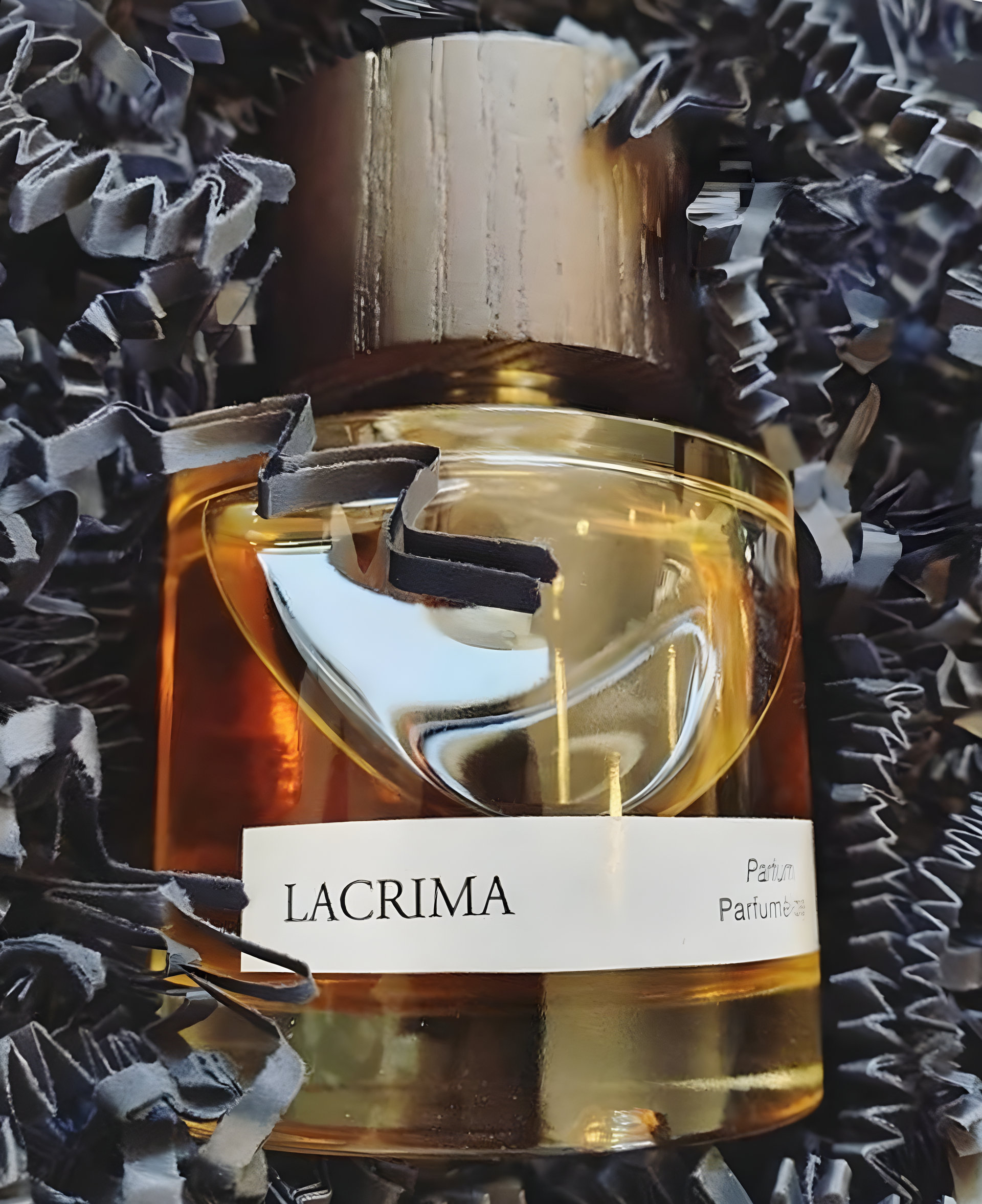 Picture of Lacrima fragrance