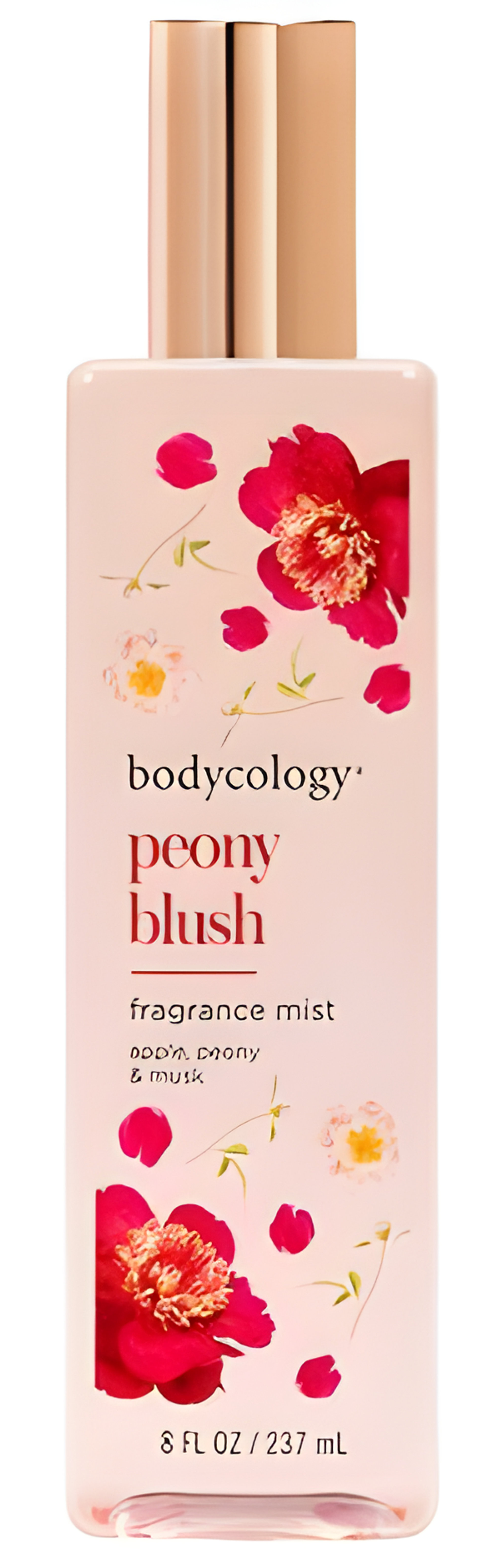 Picture of Peony Blush fragrance