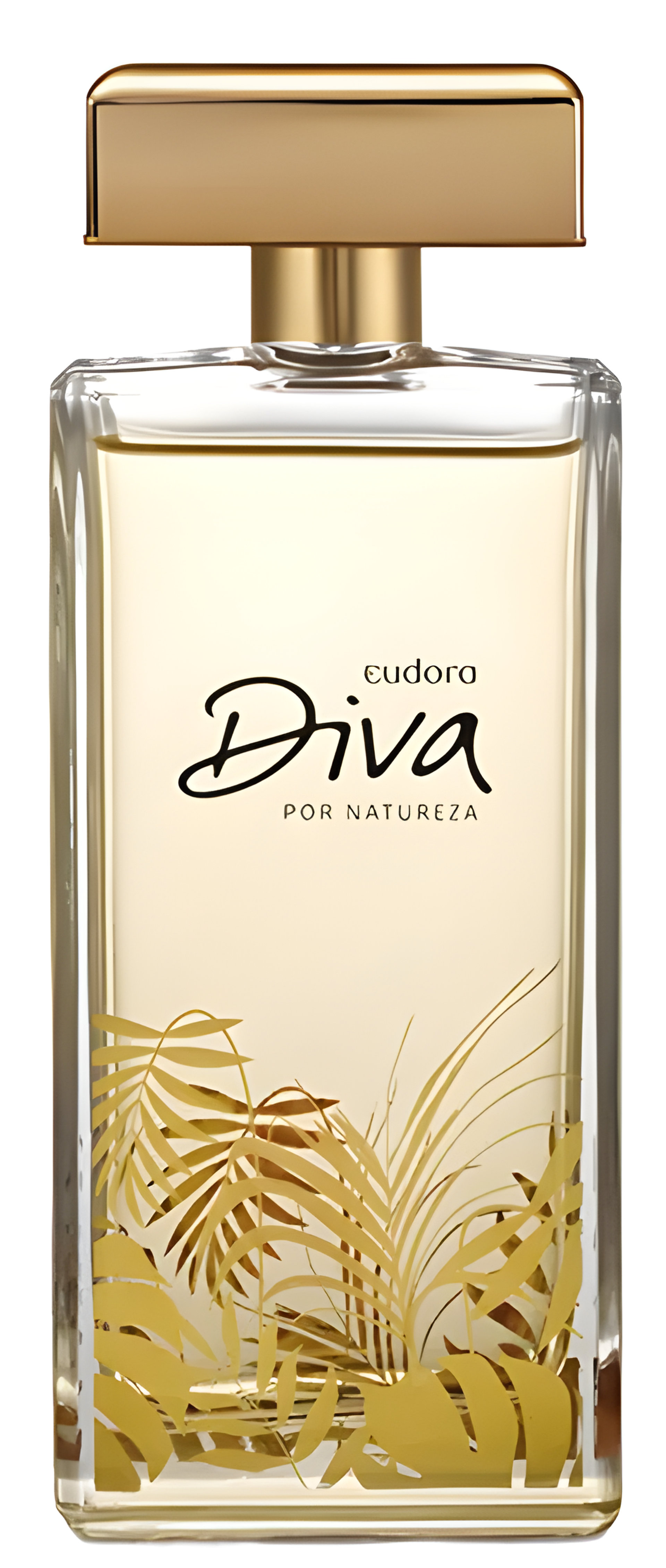 Picture of Diva Por Natureza fragrance