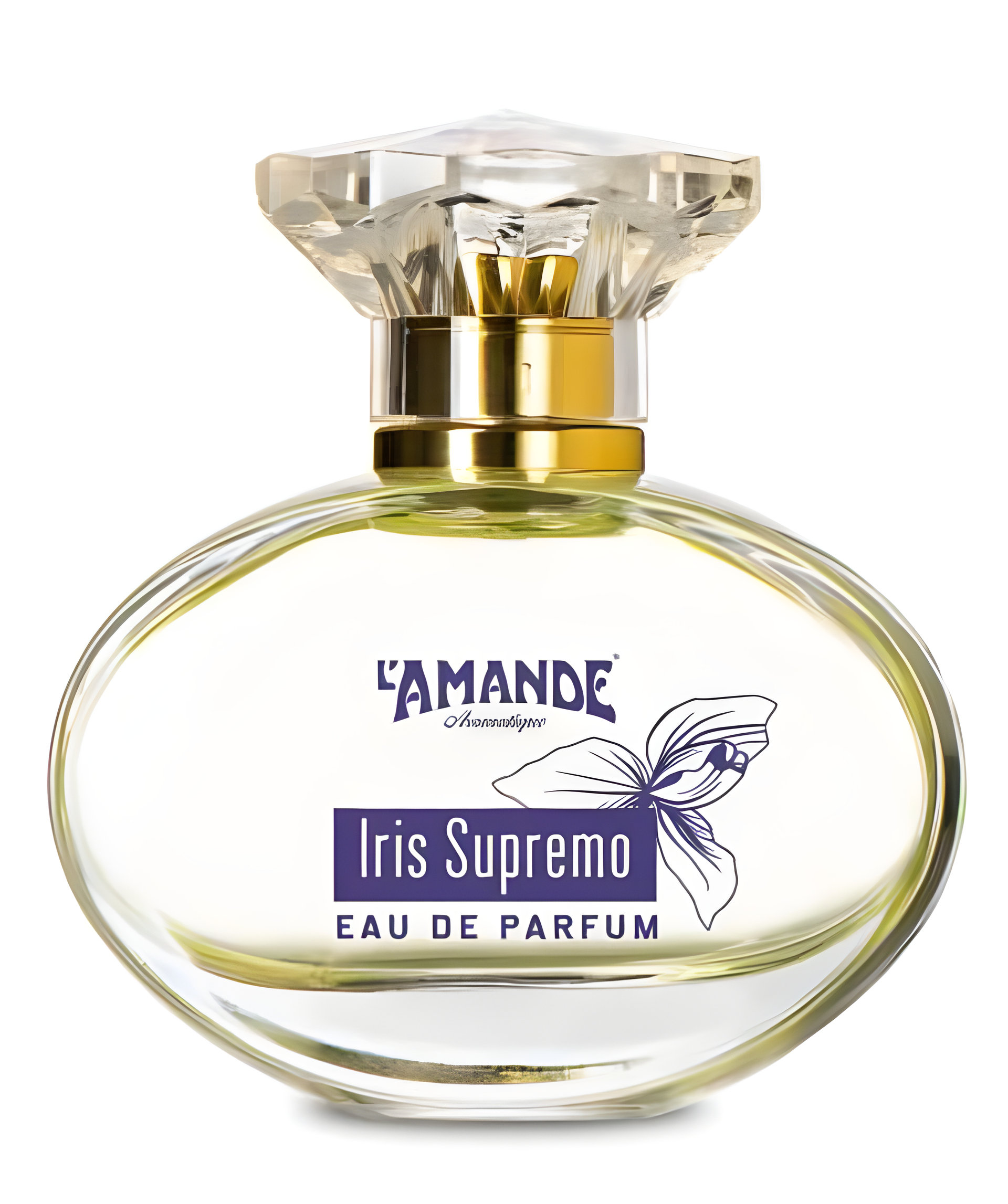 Picture of Iris Supremo fragrance