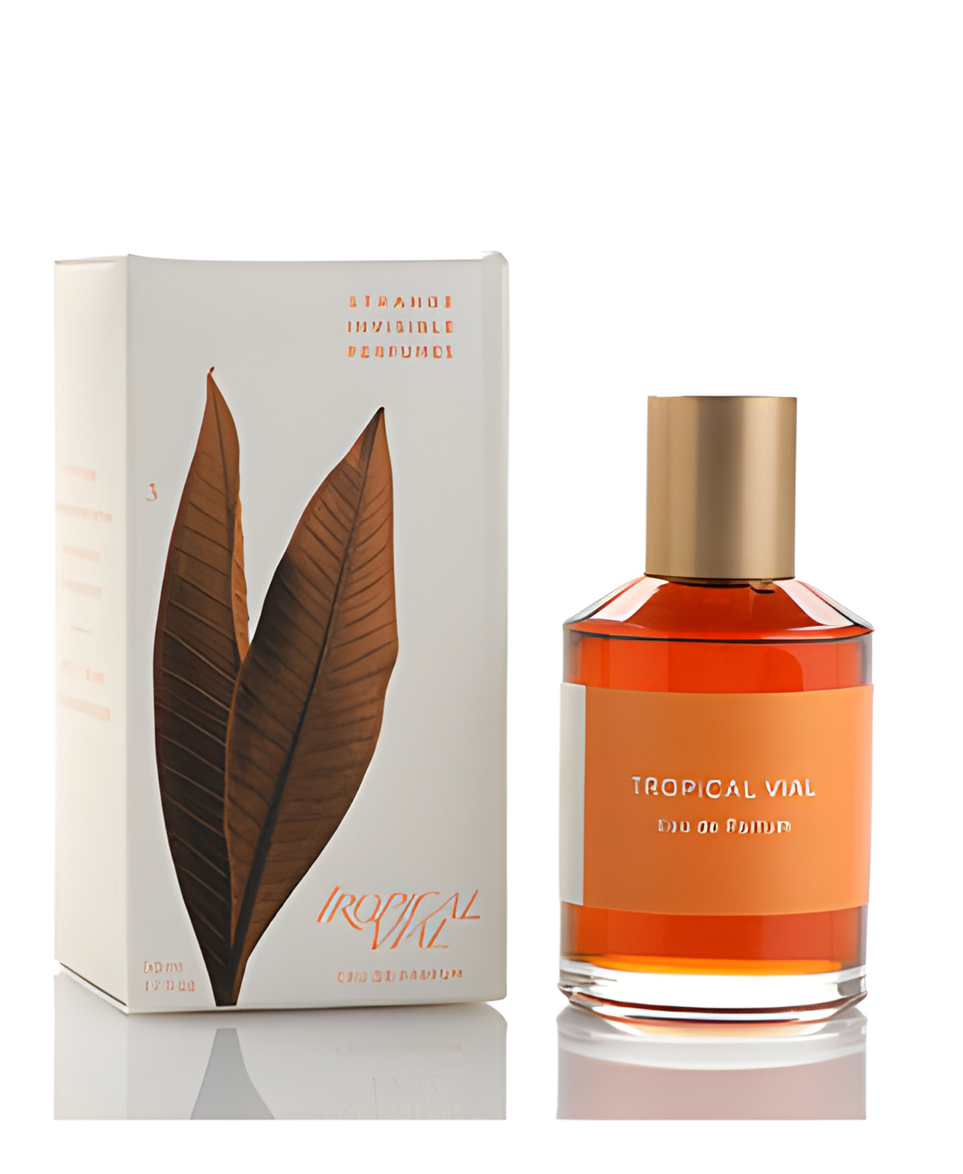 Picture of Tropical Vial fragrance