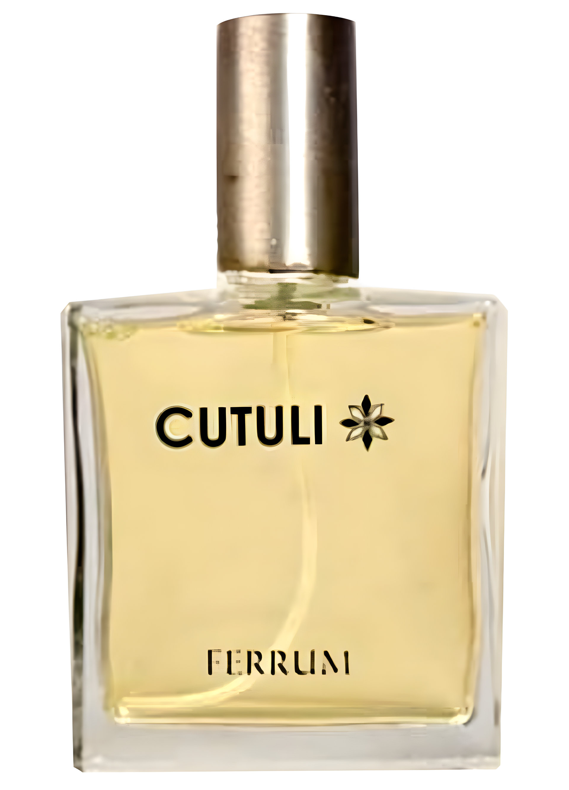 Picture of Ferrum fragrance