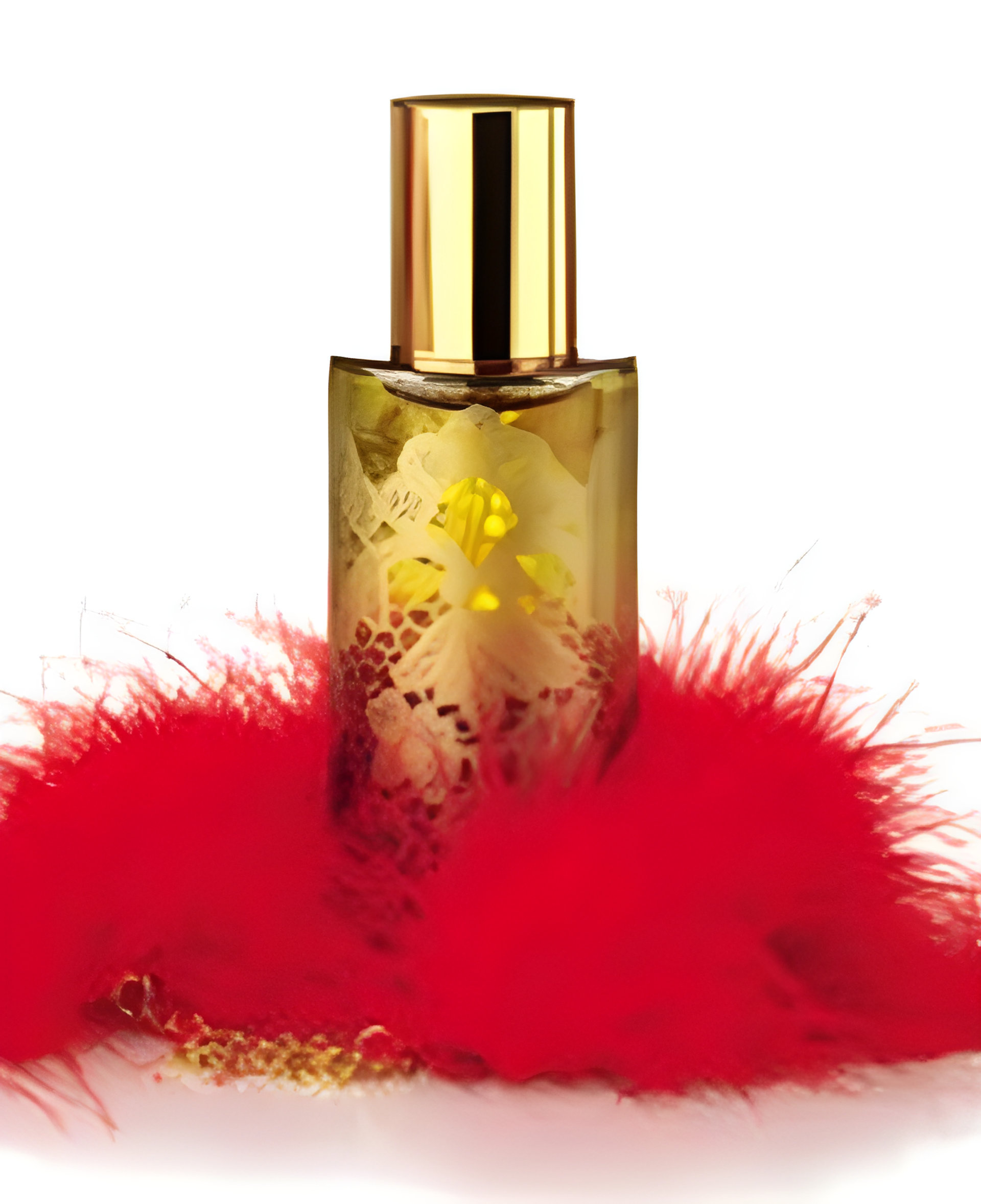 Picture of O Feerique fragrance