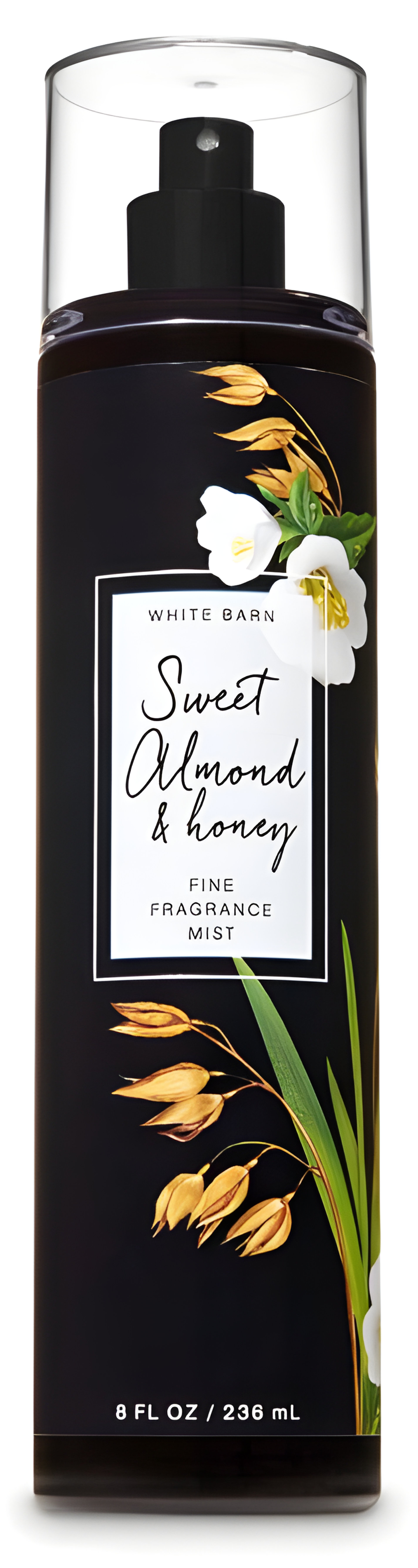 Picture of Sweet Almond & Honey fragrance