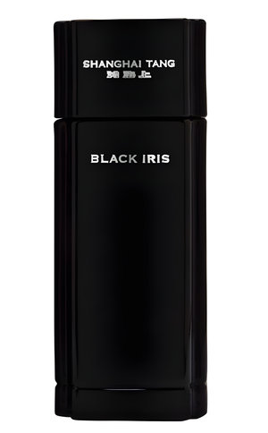 Black Iris Men by Shanghai Tang perfume bottle