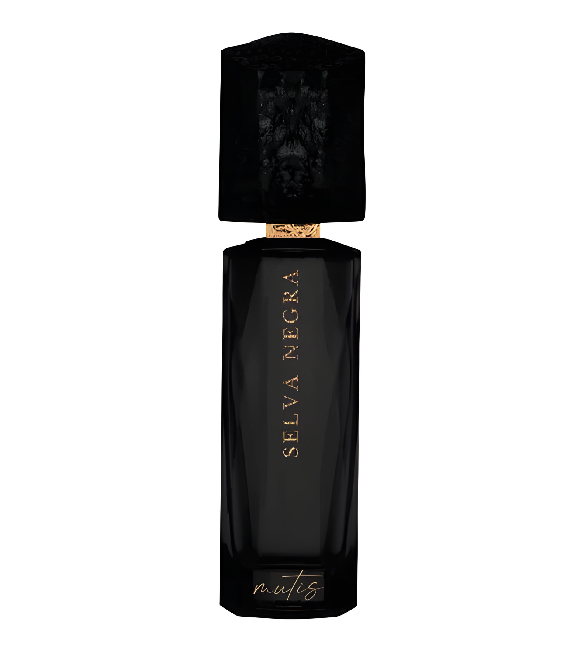 Picture of Selva Negra fragrance