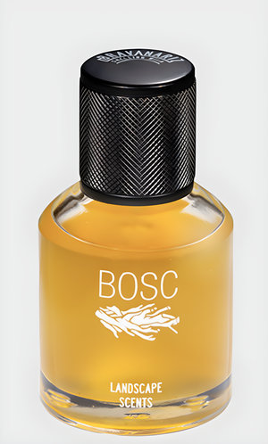 Bosc by Bravanariz perfume bottle