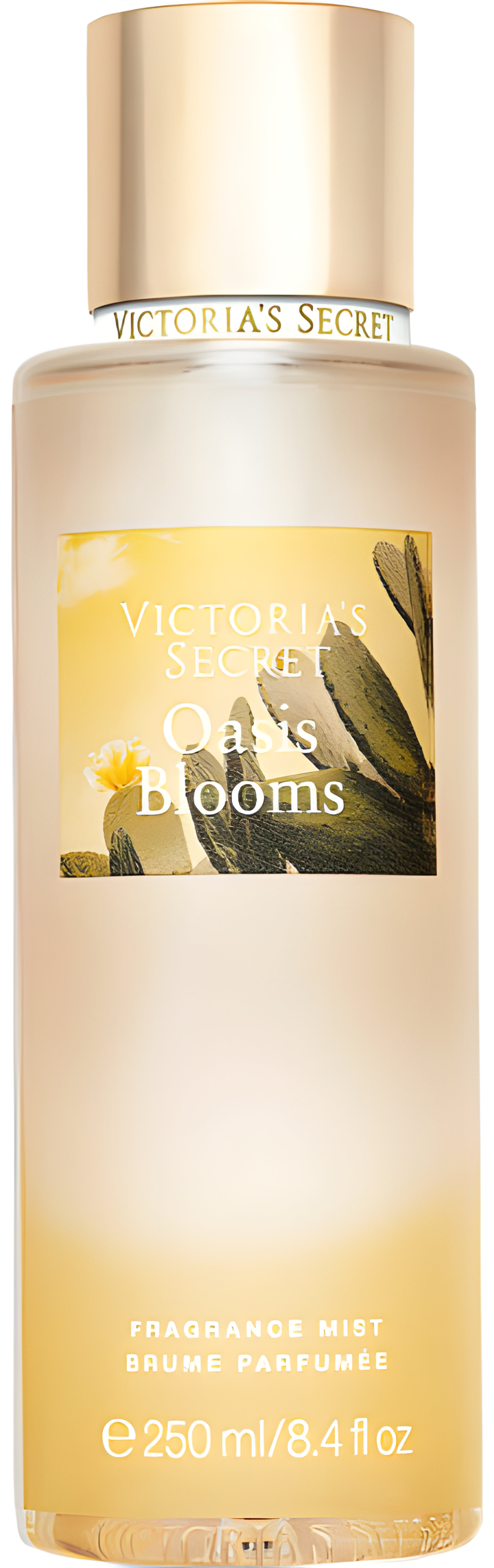 Picture of Oasis Blooms fragrance