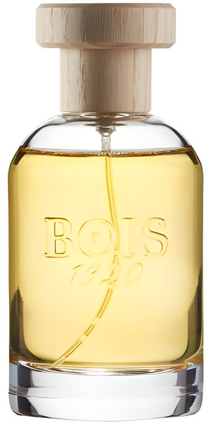 Insieme by Bois 1920 perfume bottle