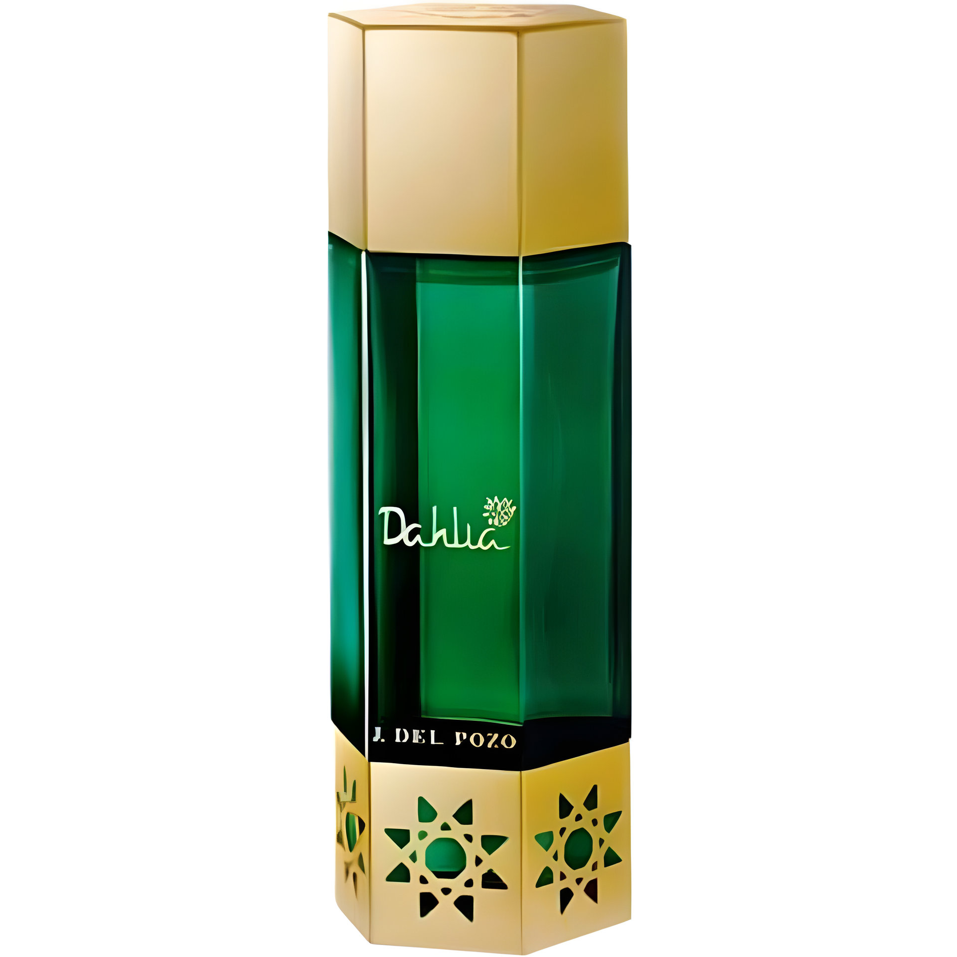 Picture of Desert Flowers Dahlia fragrance