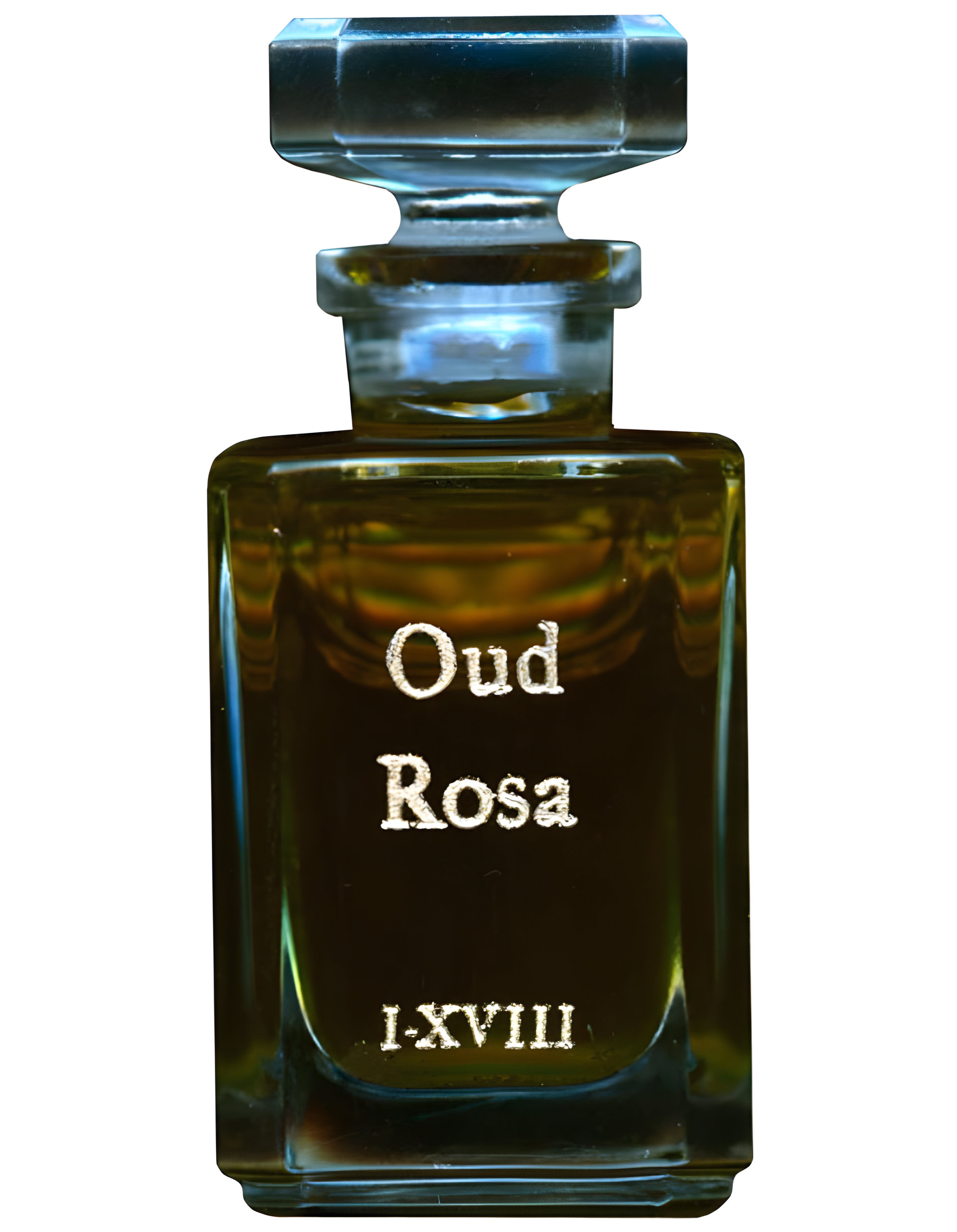 Oud Rosa by Fueguia 1833 perfume bottle