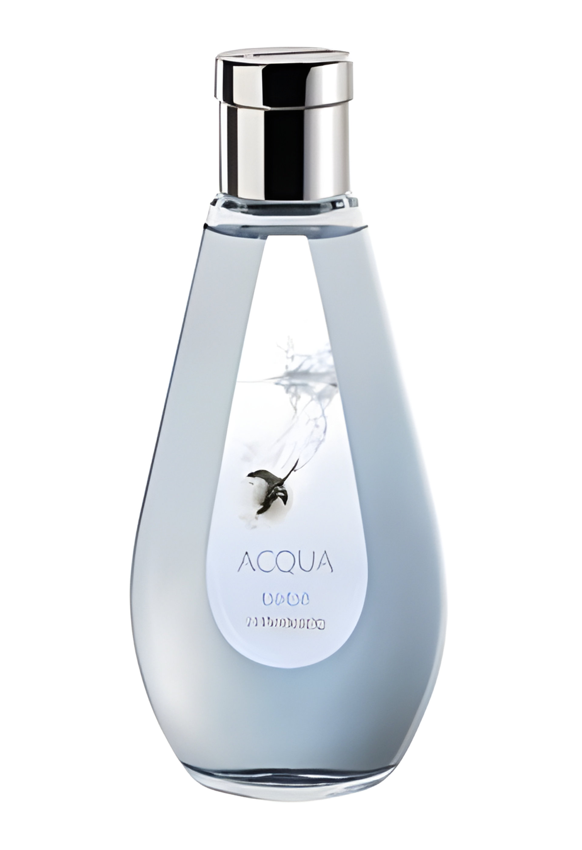 Picture of Acqua Bebê fragrance