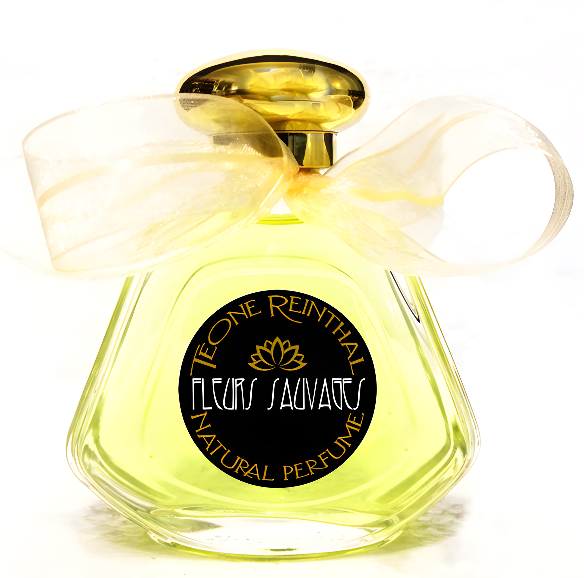 Fleurs Sauvages by TRNP