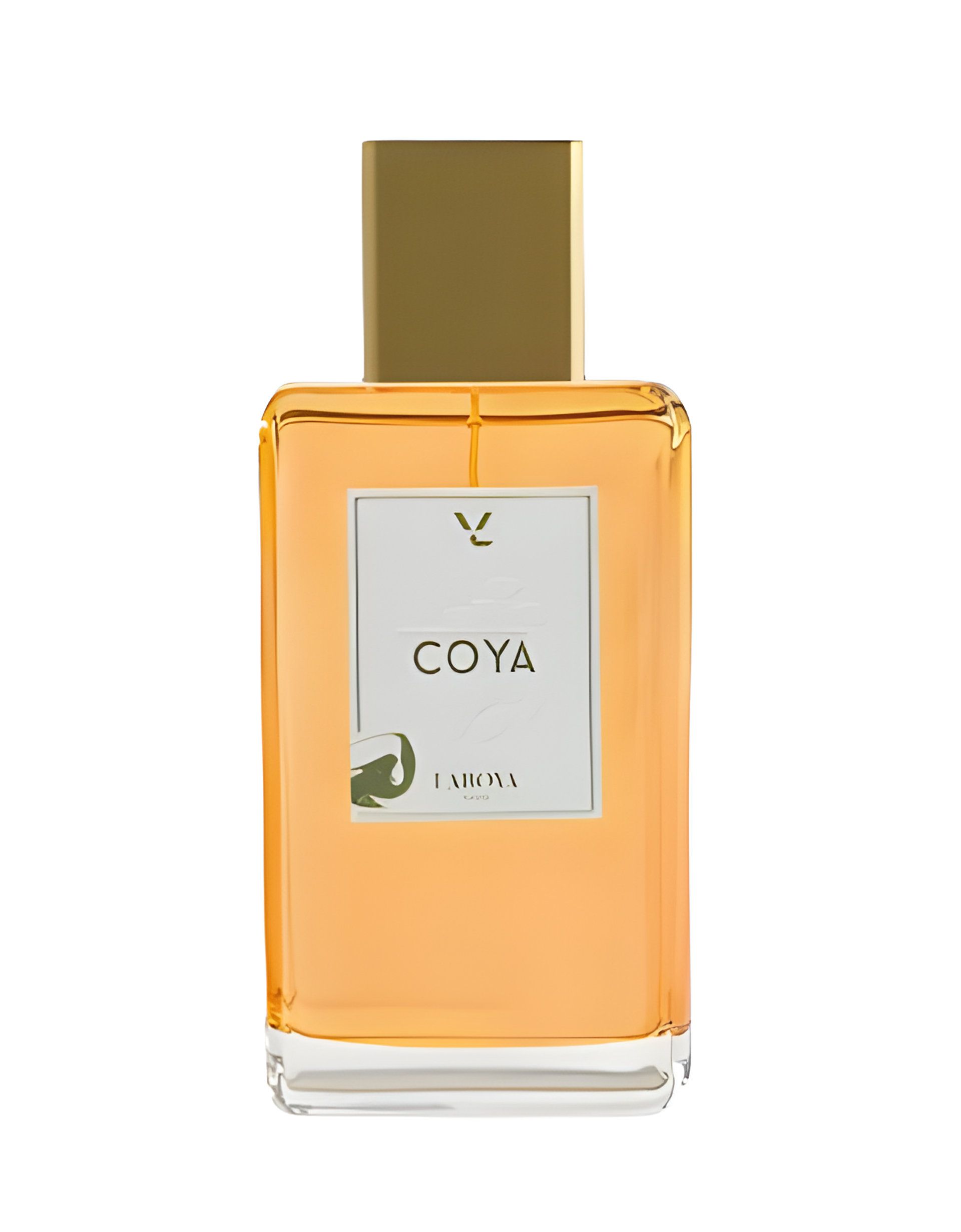 Picture of Coya fragrance