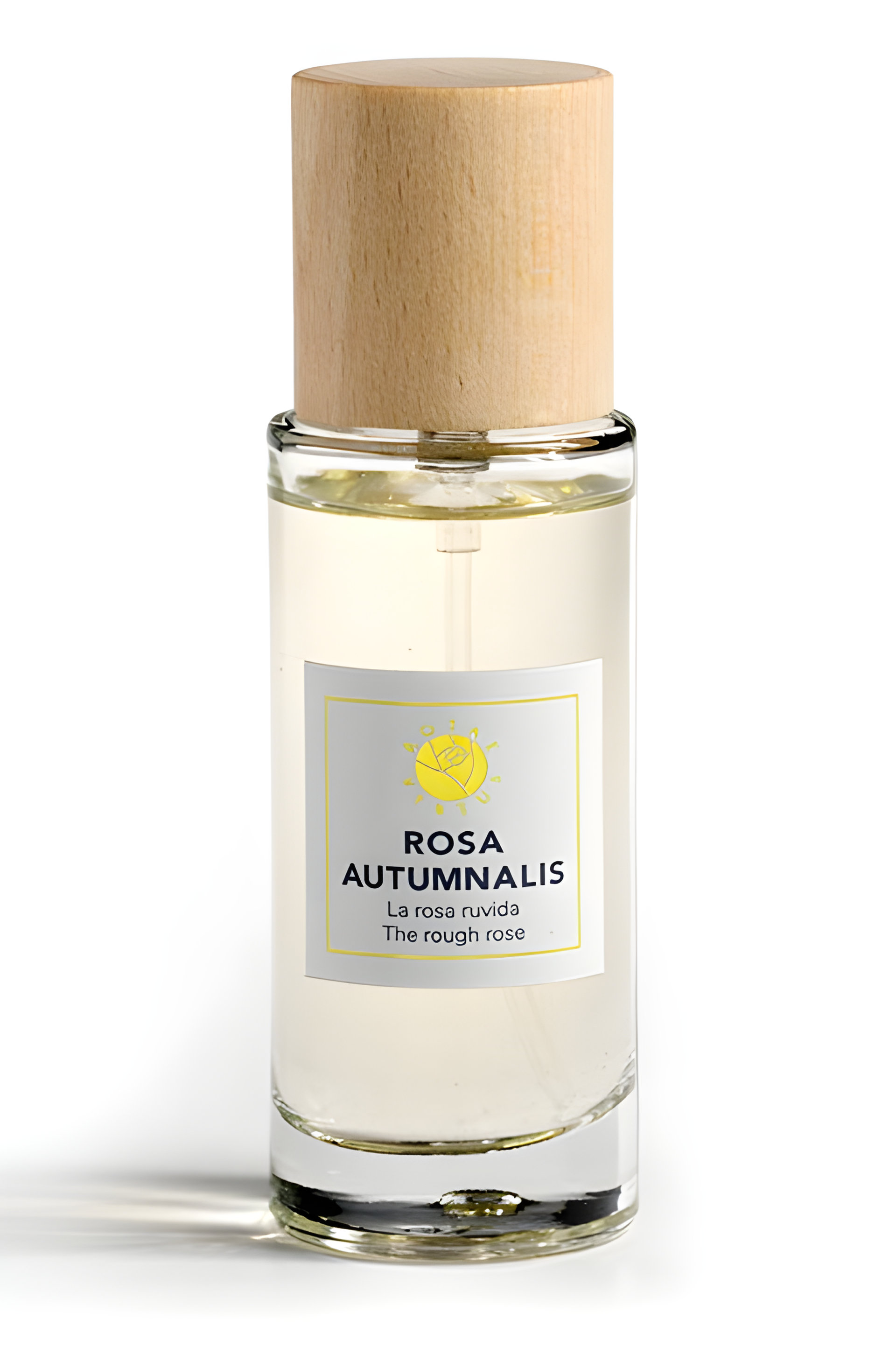 Picture of Rosa Autumnalis fragrance