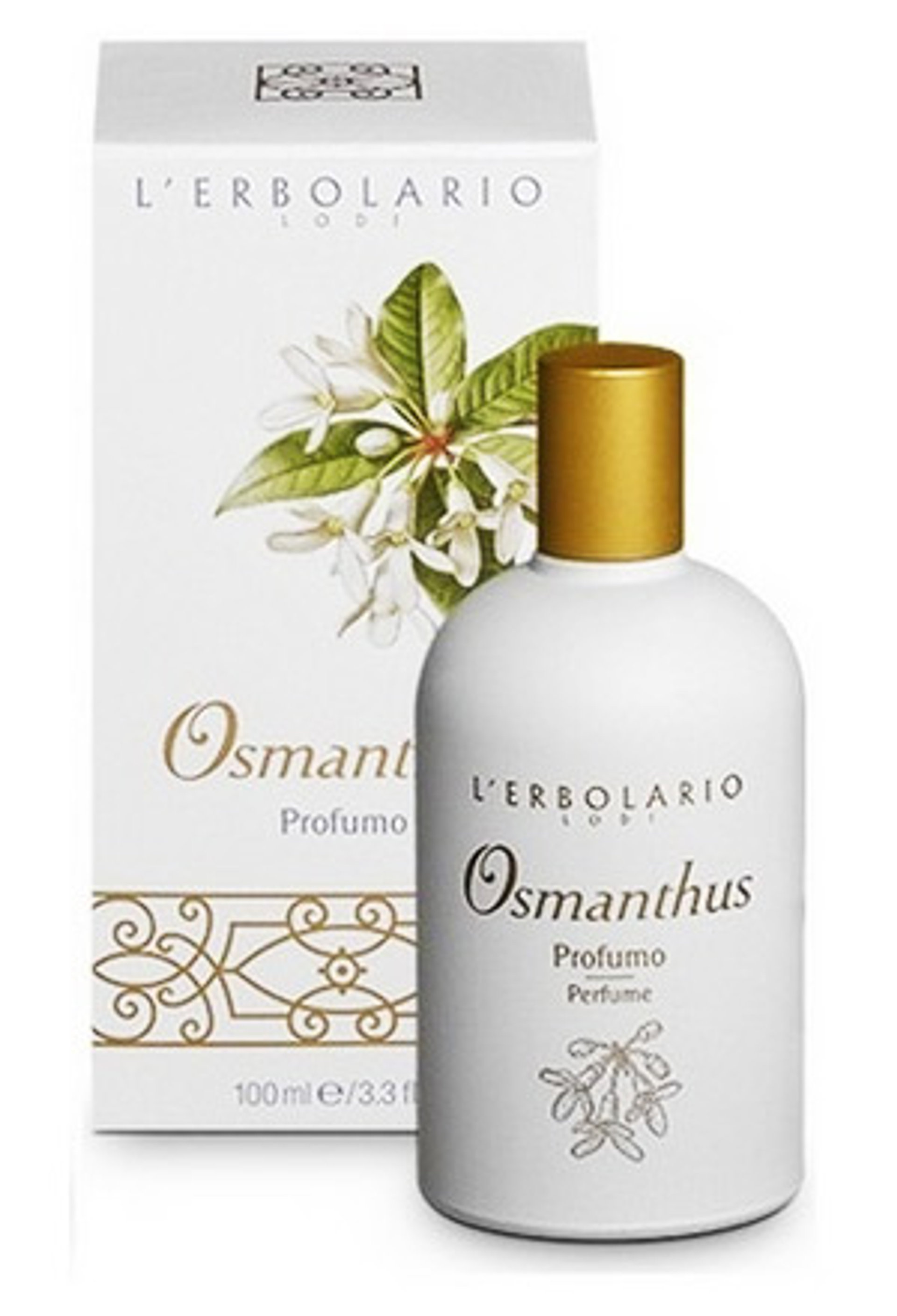 Picture of Osmanthus fragrance