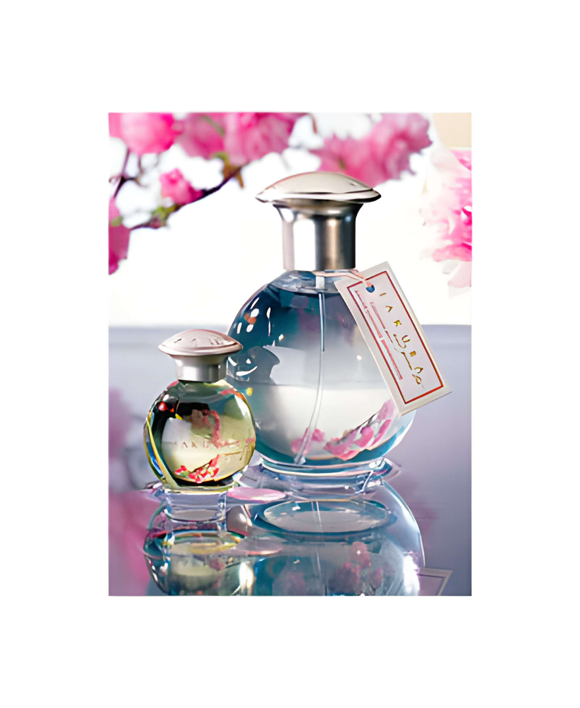 Picture of Sakura and Green Tea fragrance