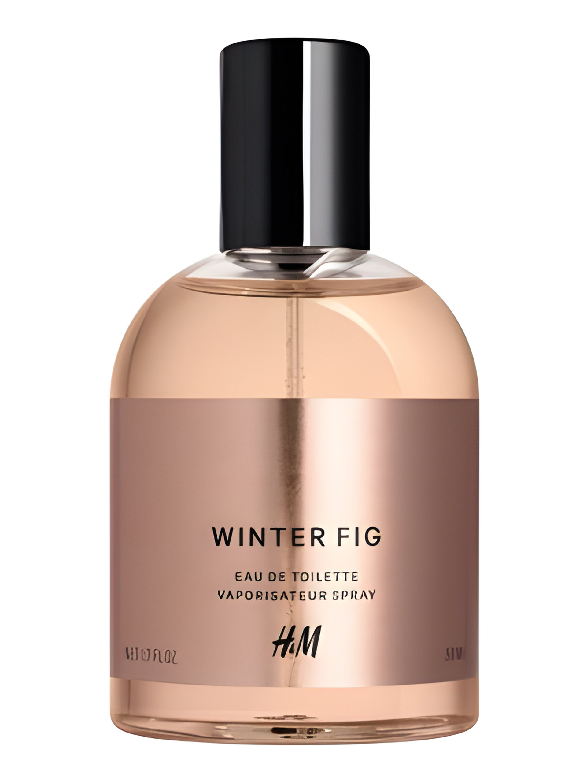 Picture of Winter Fig fragrance