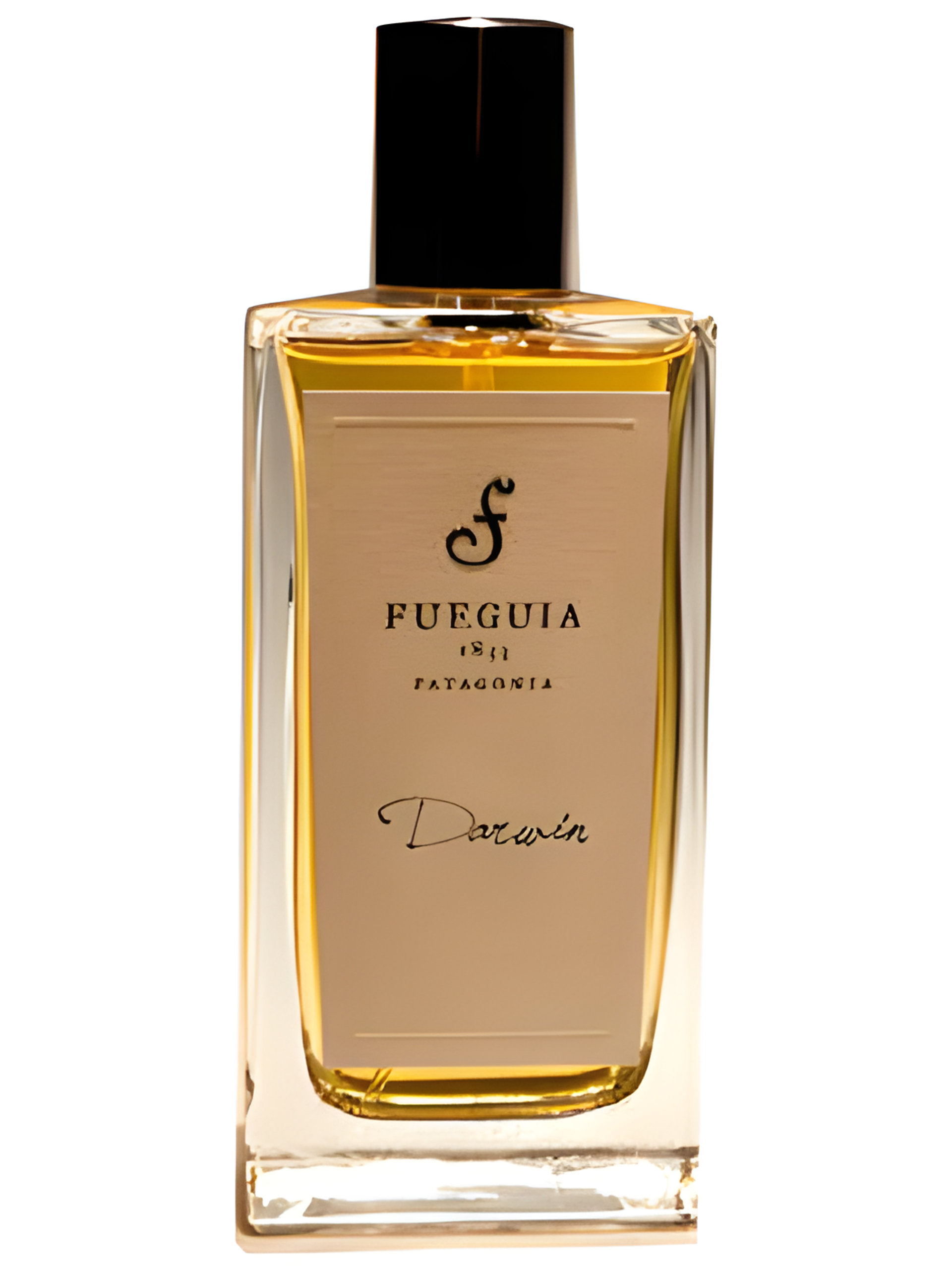 Picture of Darwin fragrance