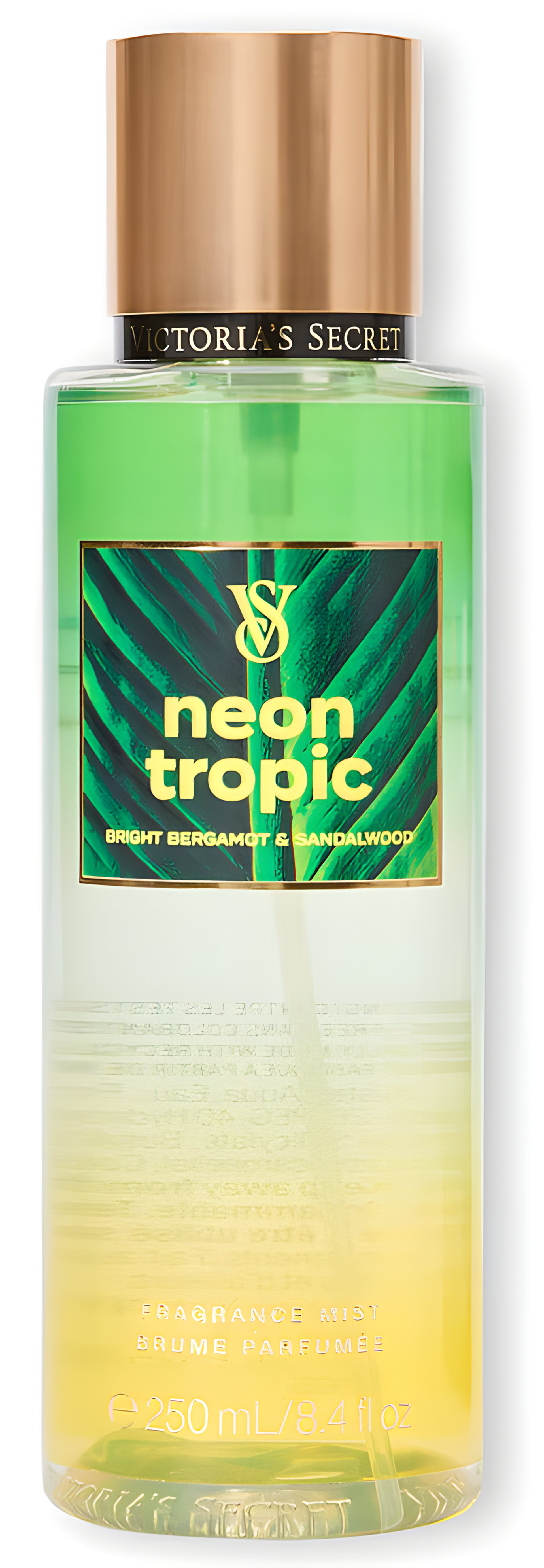 Picture of Neon Tropic fragrance