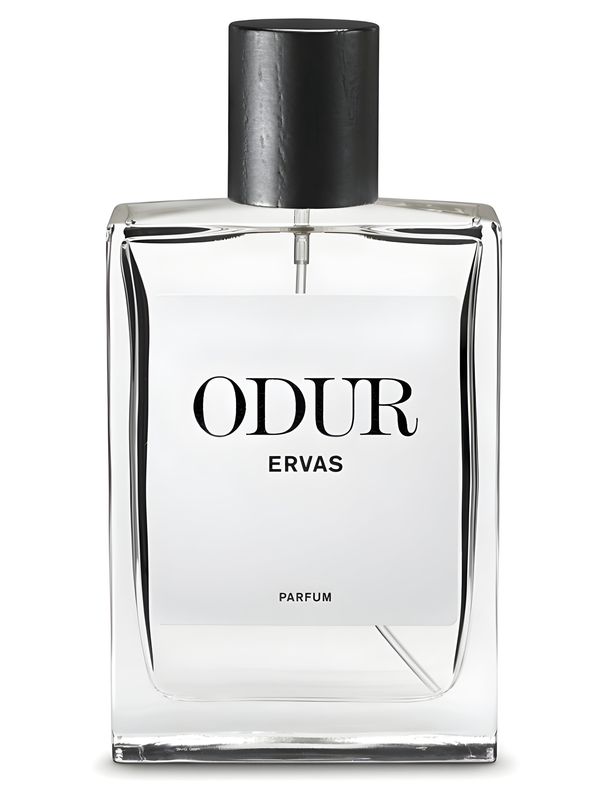 Picture of Ervas fragrance