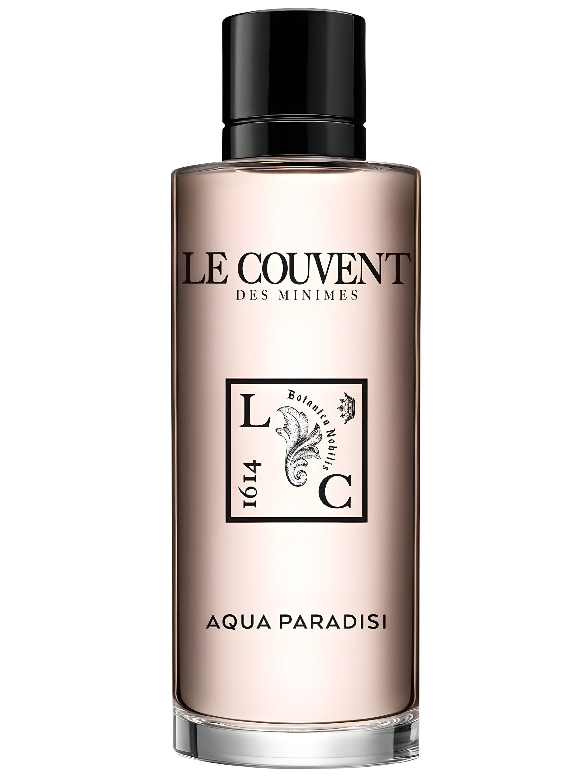 Picture of Aqua Paradisi fragrance