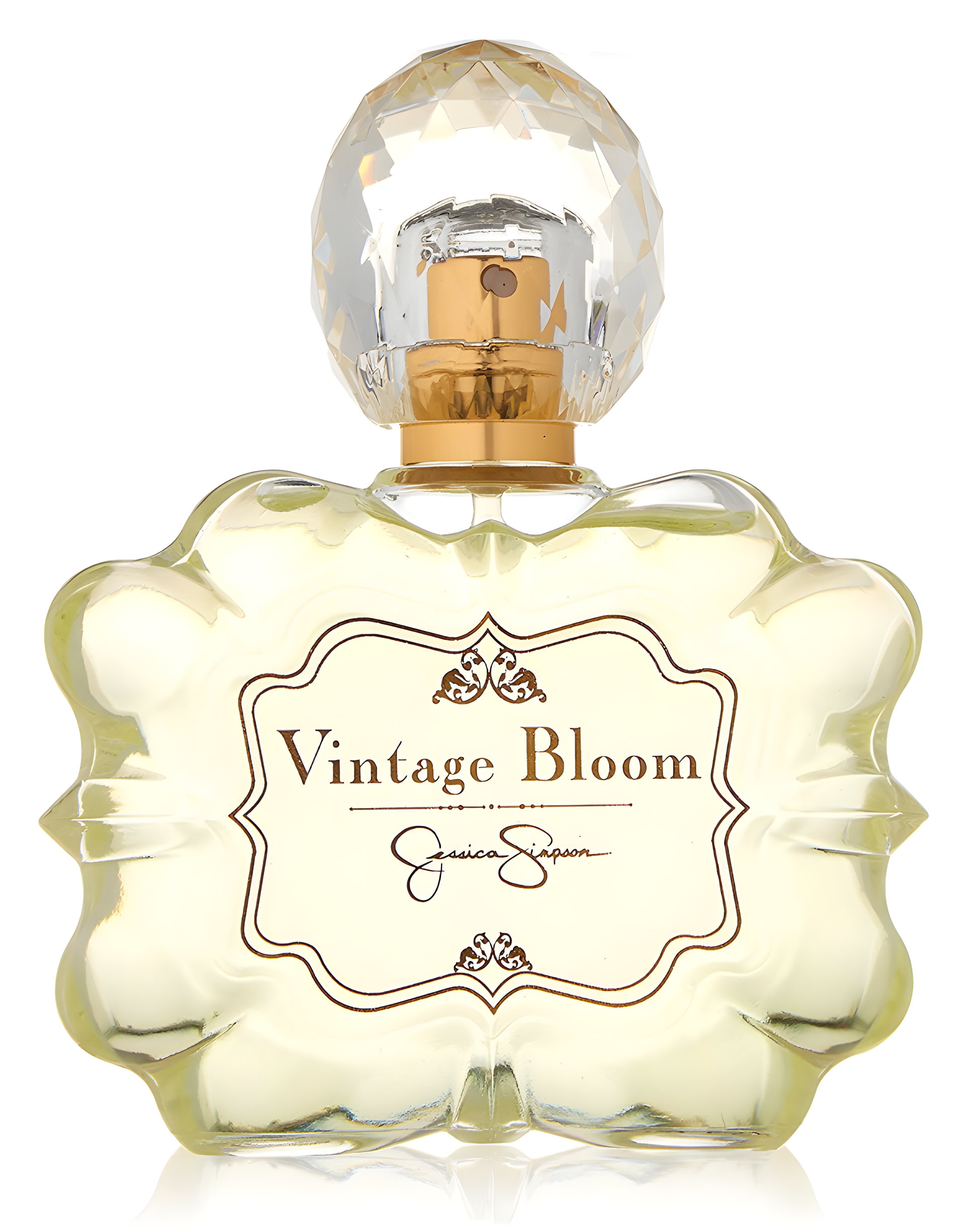 Picture of Vintage Bloom fragrance