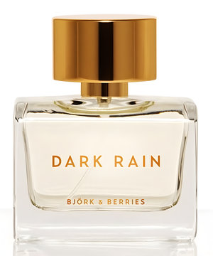 Dark Rain by Bjork and Berries perfume bottle