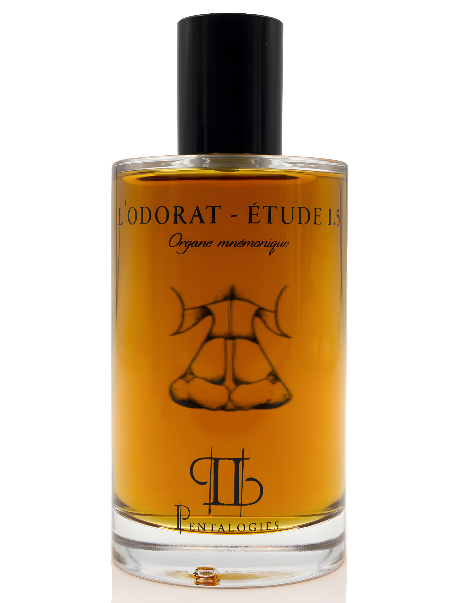 Picture of Etude 1.5: L’Odorat fragrance