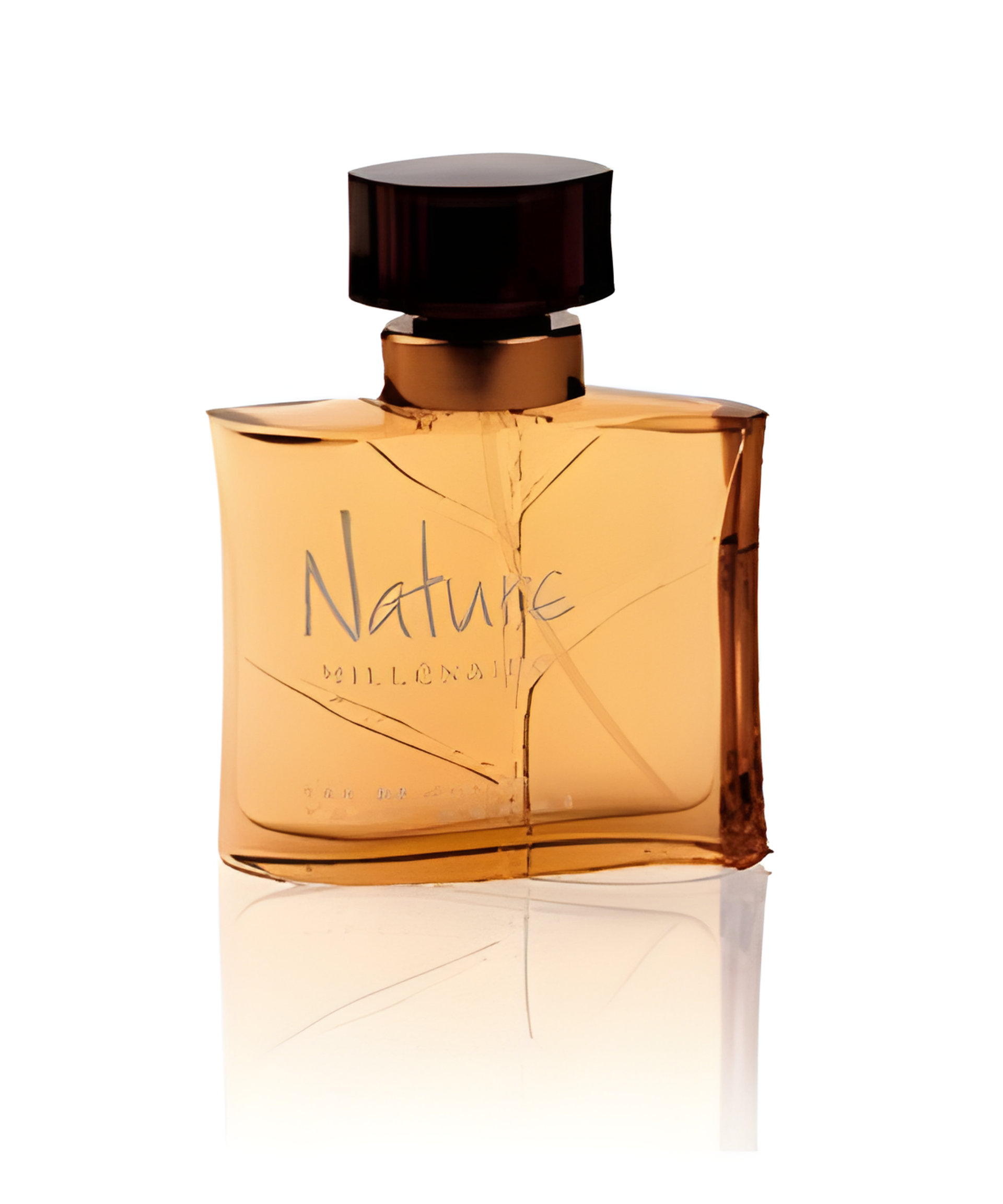 Picture of Nature Millenaire Pour Homme fragrance