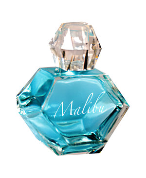 Malibu Day by Pamela Anderson perfume bottle