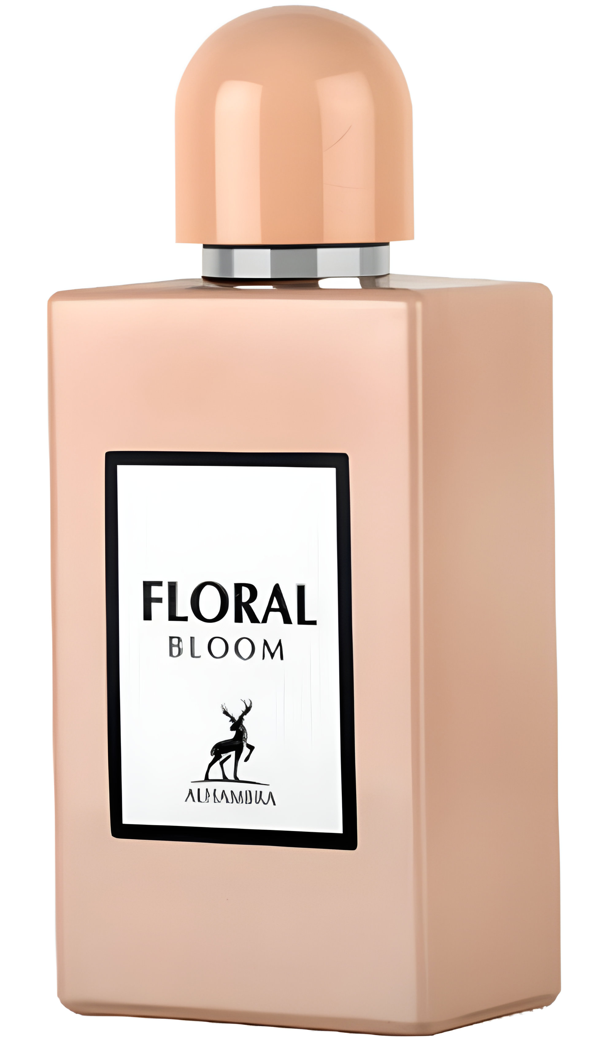 Picture of Floral Bloom fragrance