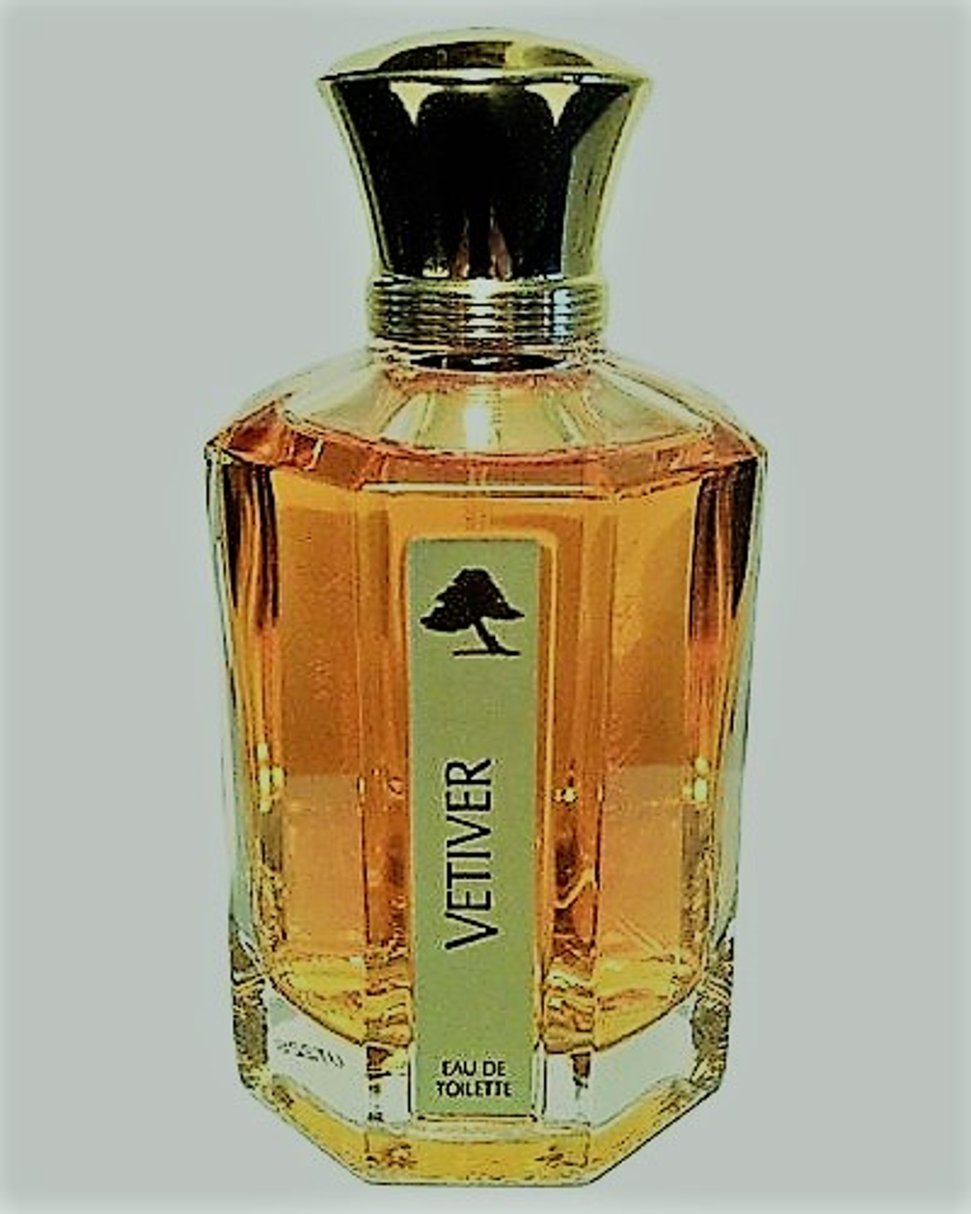 Picture of Vetiver fragrance