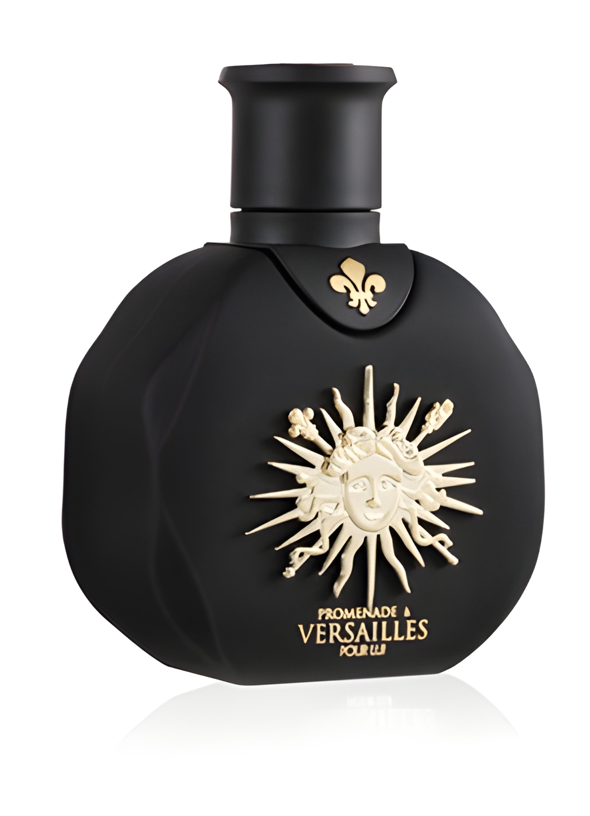 Picture of Promenade a Versailles Pour Lui fragrance