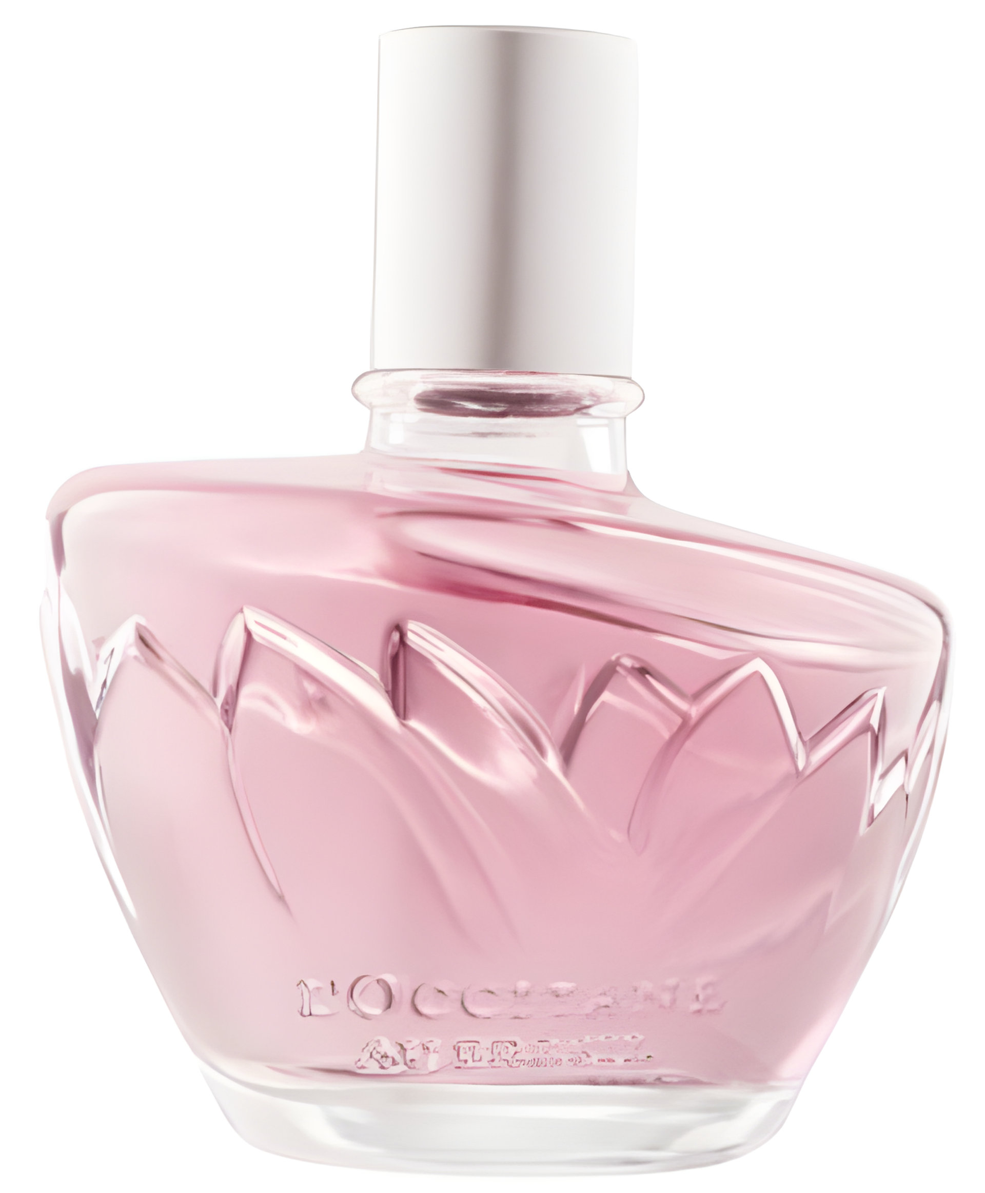 Picture of Ninfa Das Águas Fascínio fragrance