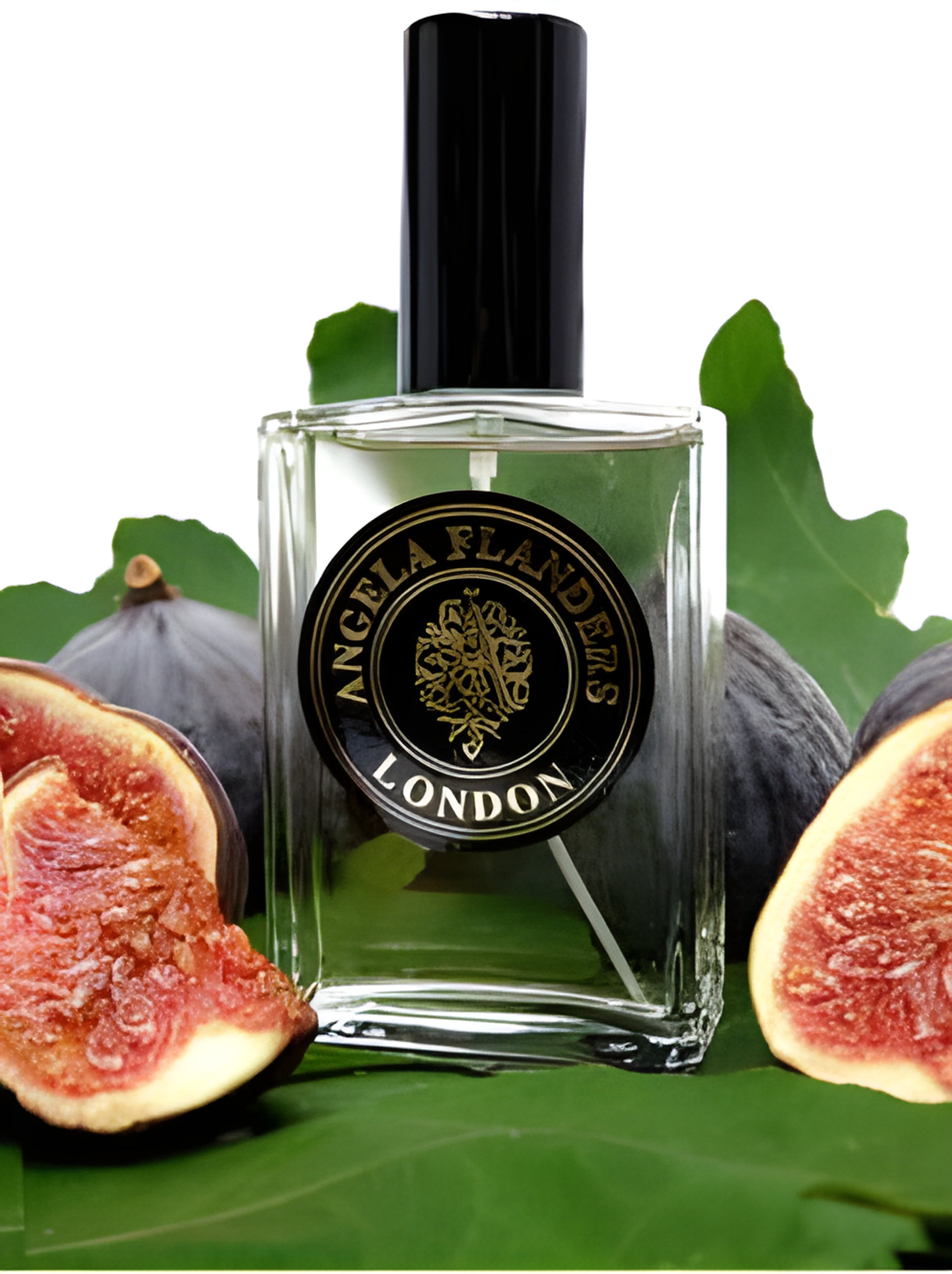 Picture of Figue Noire fragrance