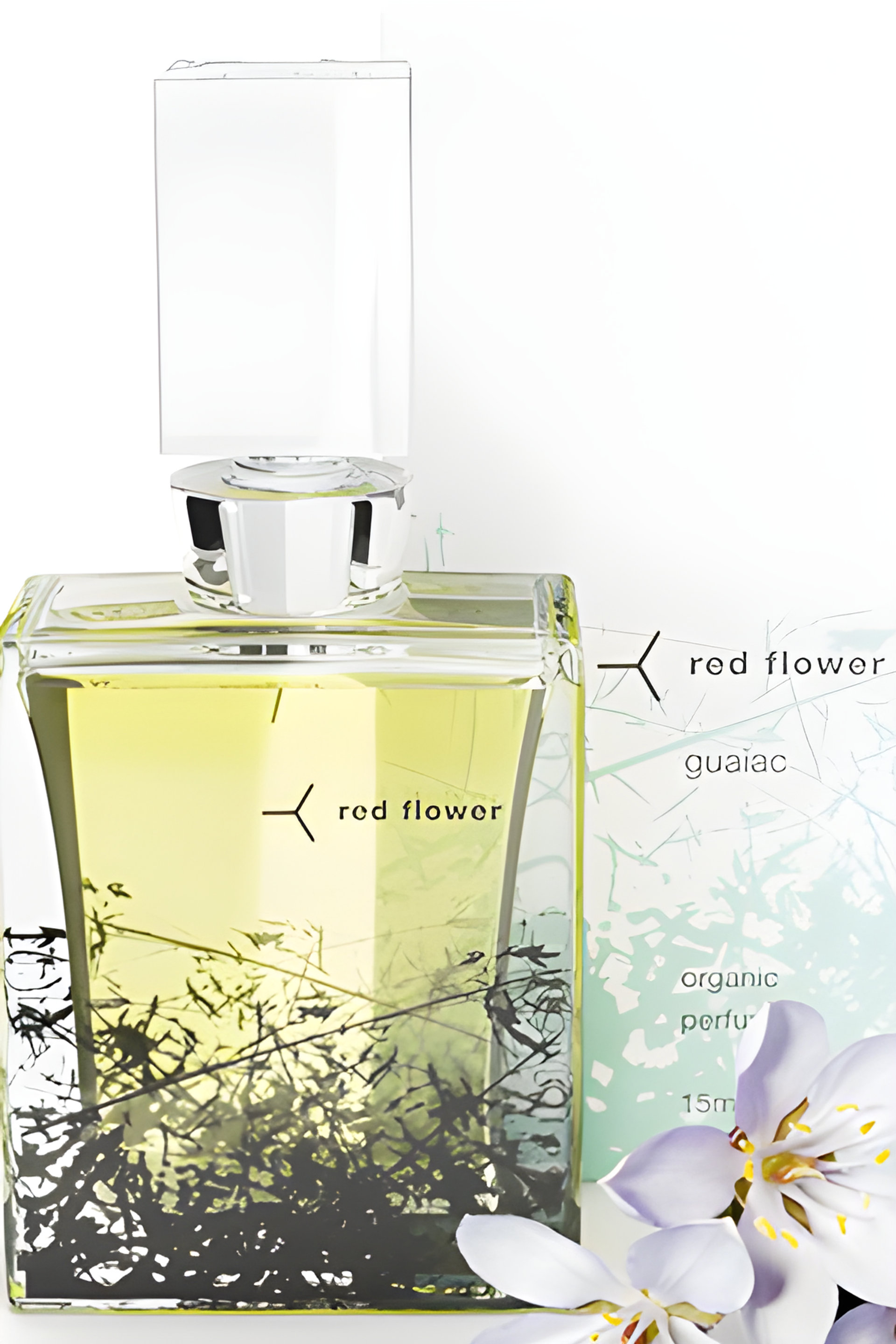 Picture of Guaiac fragrance