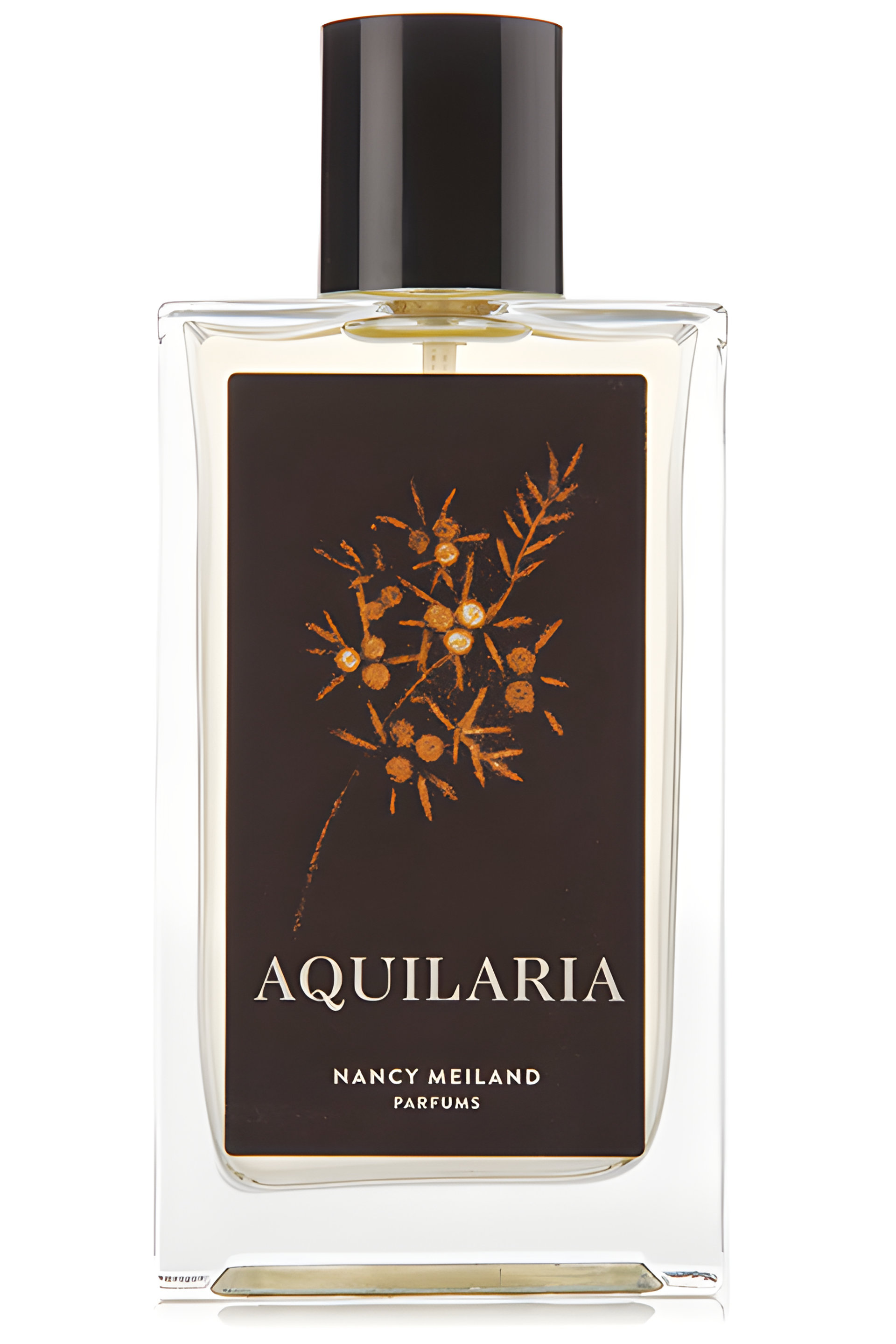 Picture of Aquilaria fragrance