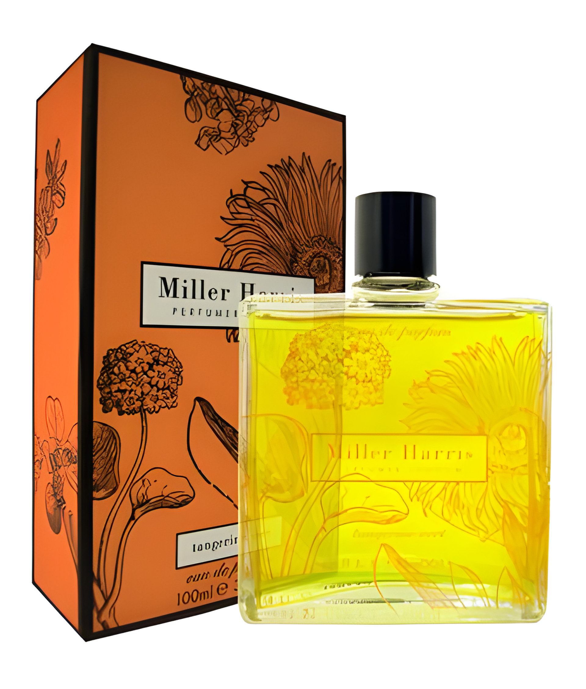 Picture of Tangerine Vert fragrance