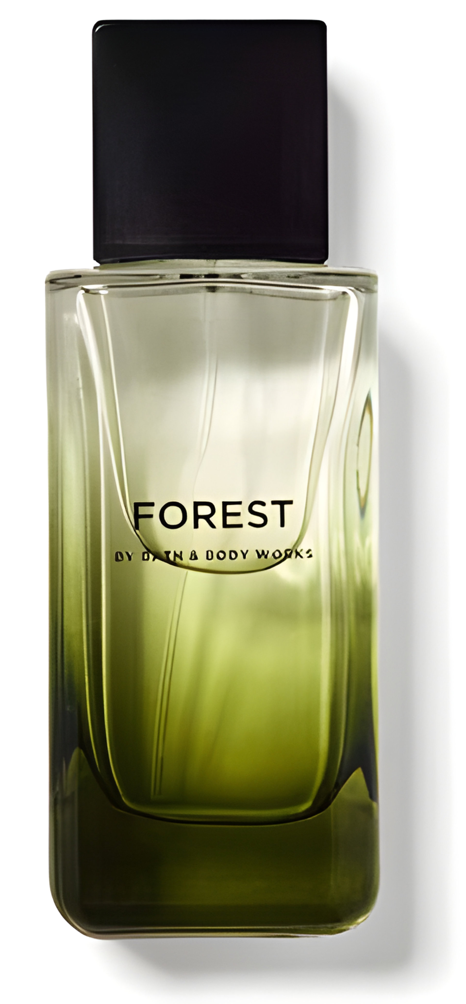 Picture of Forest fragrance