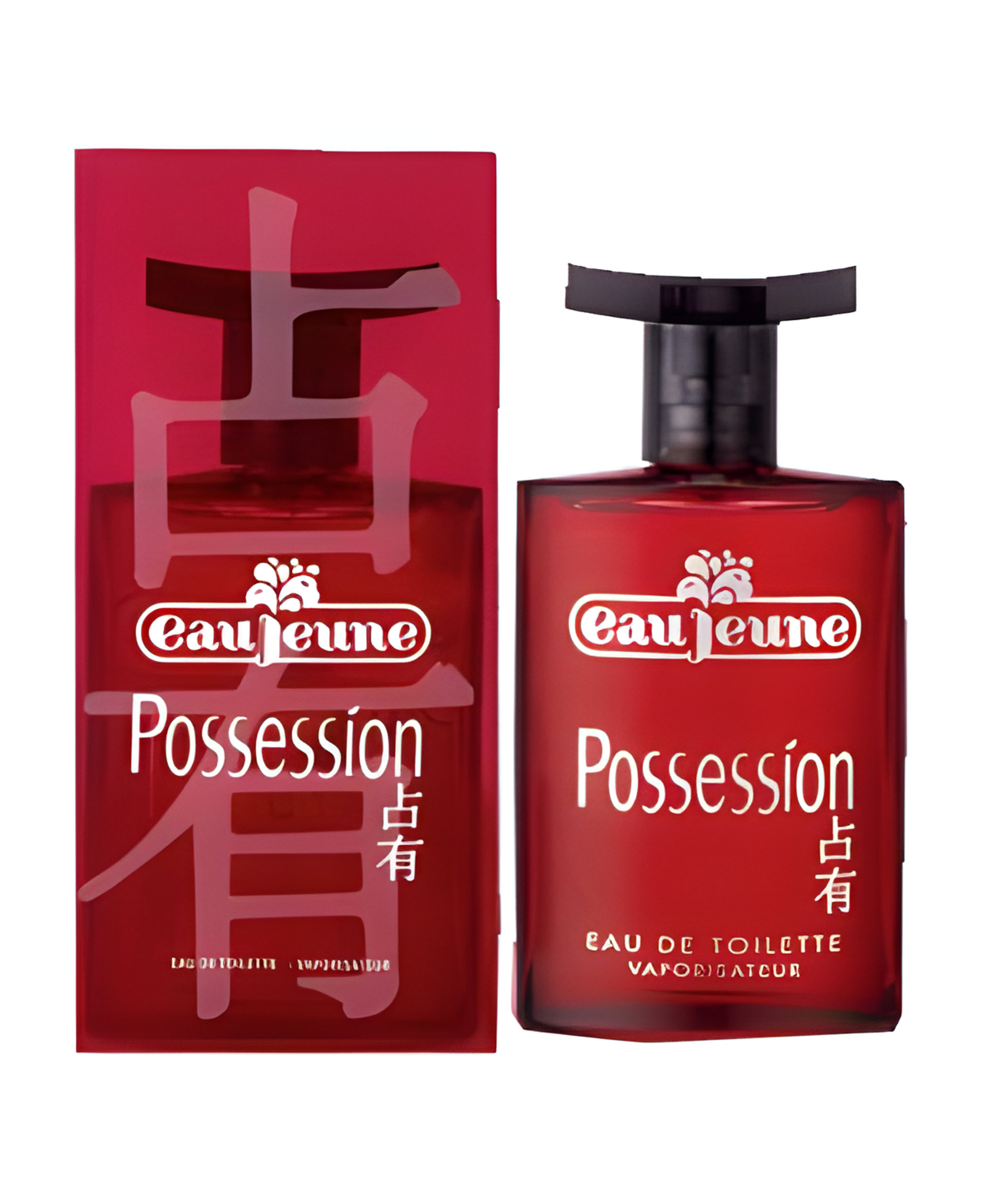Picture of Eau Jeune Possesion fragrance