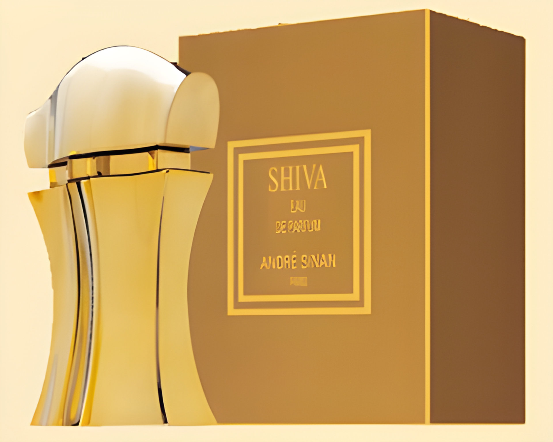 Picture of Shiva fragrance