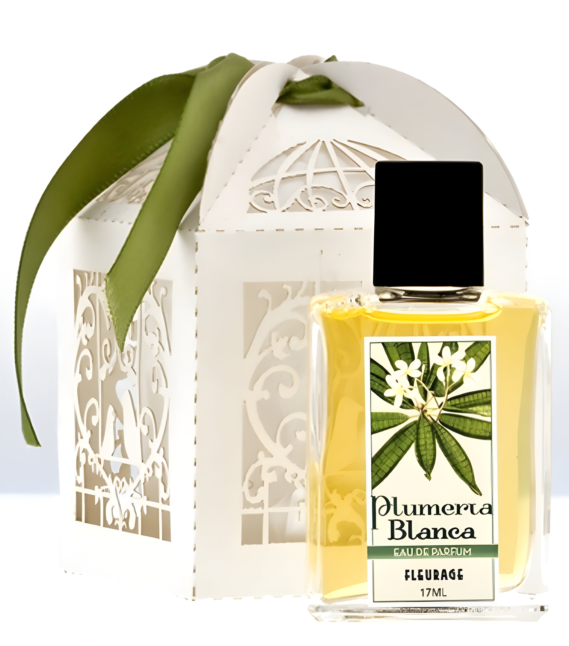 Picture of Plumeria Blanca fragrance