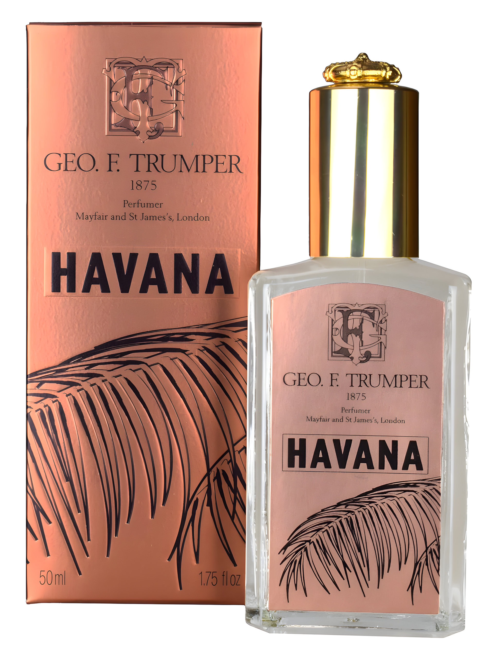 Picture of Havana Cologne fragrance