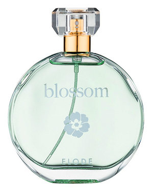 Blossom by Elode perfume bottle