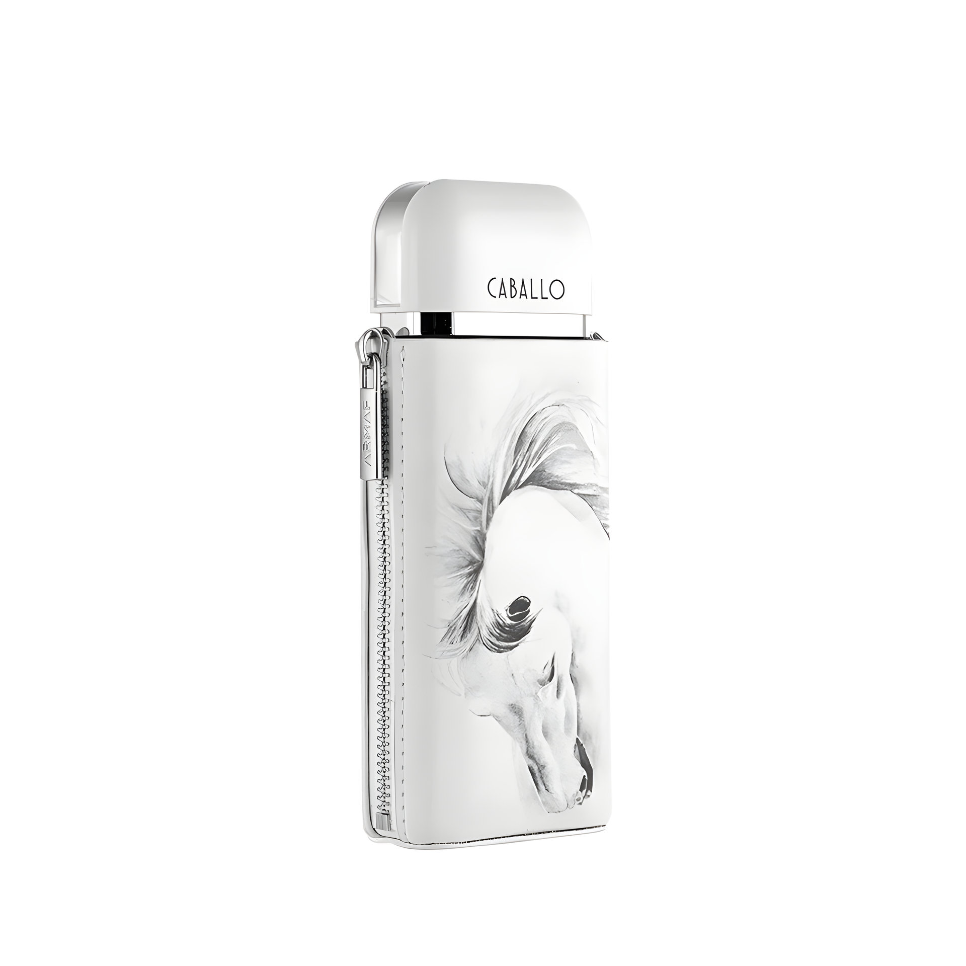 Picture of Caballo Pour Homme fragrance